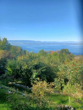 Charmante location Hauts d'Evian